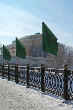 Купить Флаг расцвечивания 90х135 см темно-зеленый