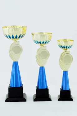 Кубок ИК0031#1 Кубок ИК0031#1