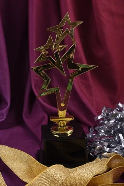 Приз Звезда 18036-G#2