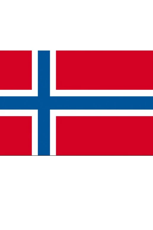 Купить флажок Норвегии 15х22 см Купить флажок Норвегии 15х22 см