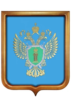 Купить Герб Генеральная прокуратура РФ размер 53х61 вышитый