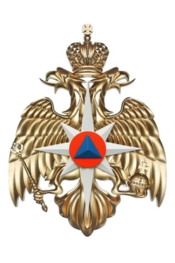 Купить Гербовую эмблему МЧС РФ размер 22,5х31 см барельеф краска