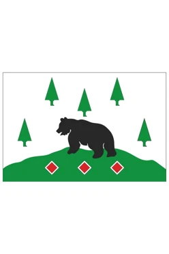 Купить флаг Бокситогорского района