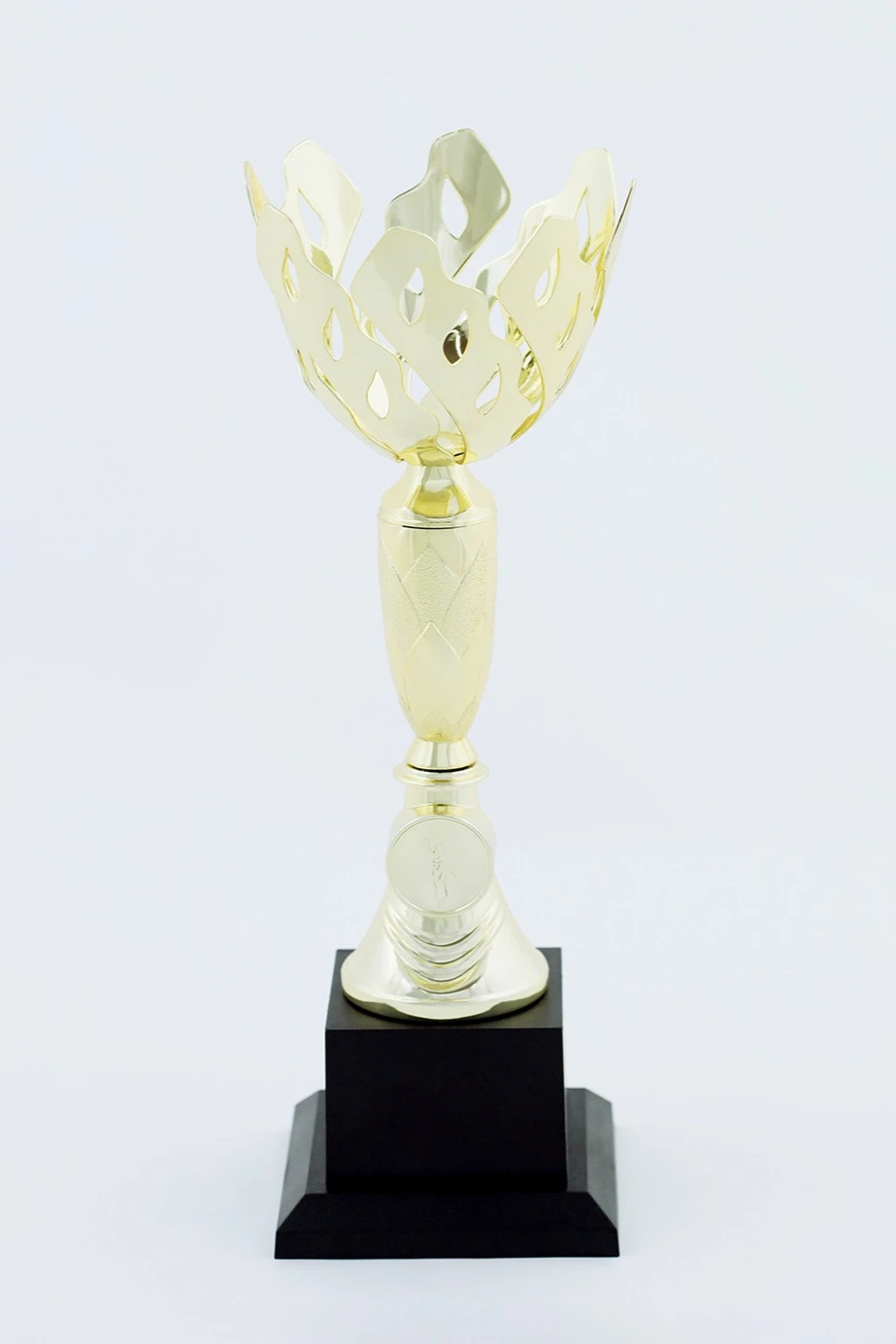 Кубок ИК0017#1