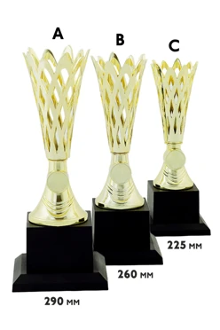 Купить кубок ИК0008 Купить кубок ИК0008