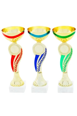 Кубок ИК0004#1 Кубок ИК0004#1