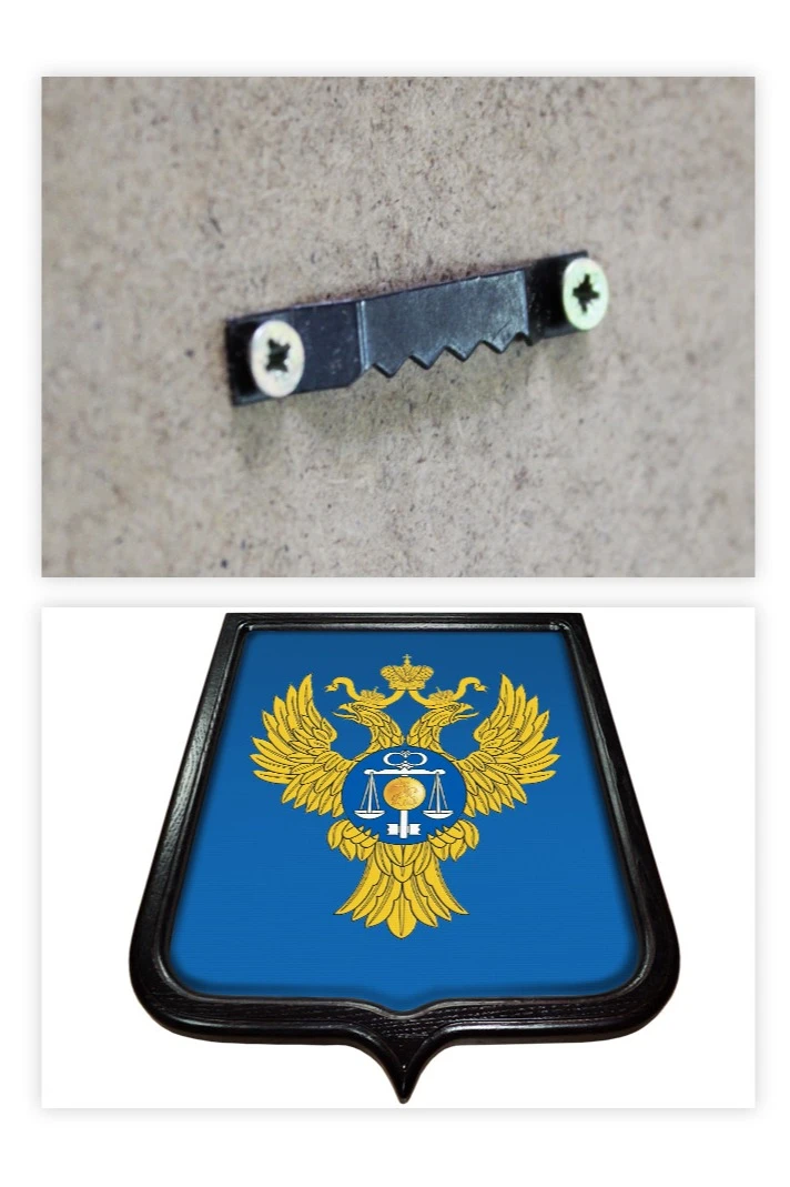 Купить Герб Казначейство РФ размер 35х43 печатный рамка темное дерево