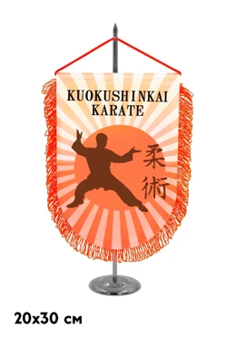 Купить вымпел дуга печатный из сатена с бахромой, 20х30 см Купить вымпел дуга печатный из сатена с бахромой, 20х30 см