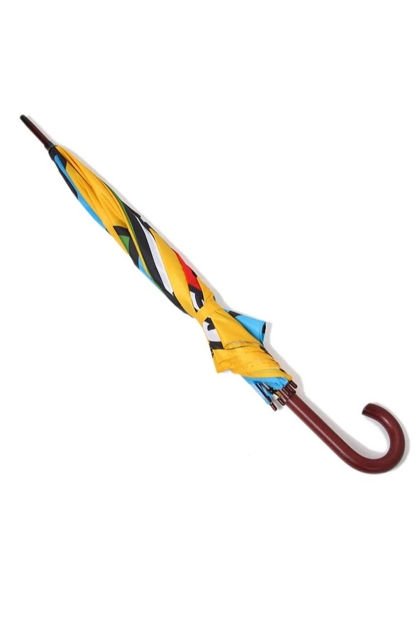 Зонт-трость Мэри с деревянной ручкой однослойный, с полной запечаткой (с совмещением) "Paints"#5