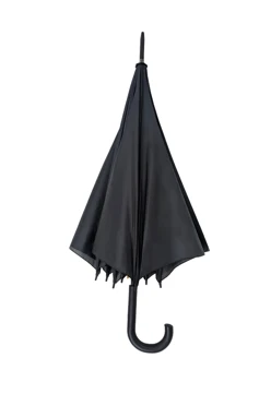 Зонт-трость Марк с пластиковой ручкой, однотонный#2