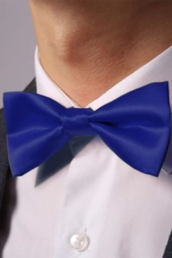 Купить синий галстук-бабочка Эксперт