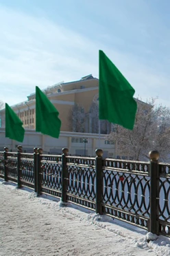 Купить Флаг расцвечивания 90х135 см зелёный