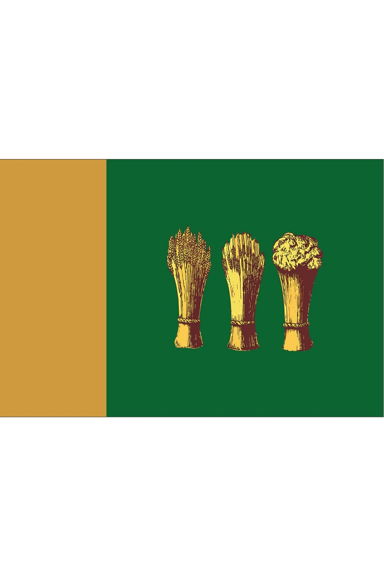 Купить флажок Пензы 15х22 см шелк