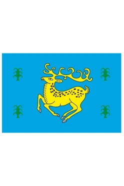 Купить флаг Зилаирского района