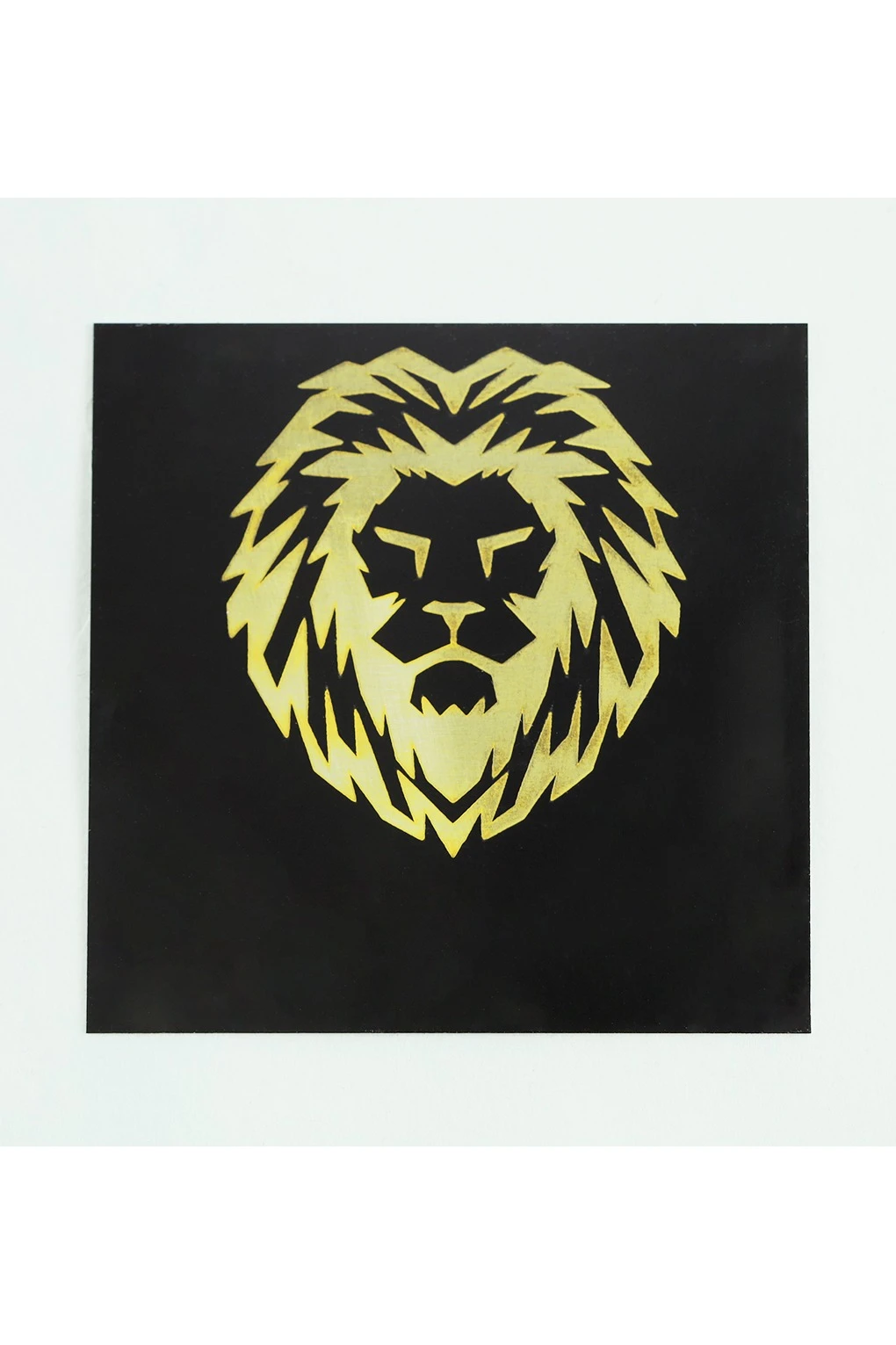 Aлюминий глянцевый 300х600 мм 0,55 мм#1