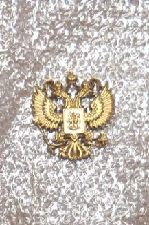 Гербовый орёл РФ 6,5х7,5 см, краска#2