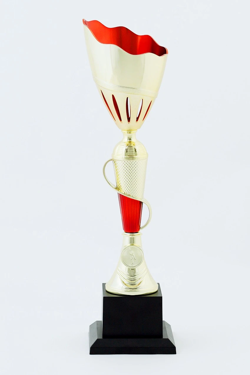 Кубок ИК0006#2