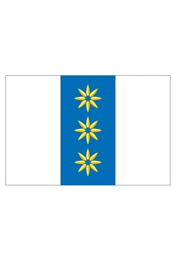 Купить флаг Бердюжского района