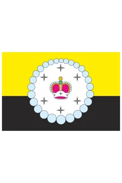 Купить флаг Костинского сельского поселения