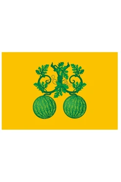 Купить флаг Балашова