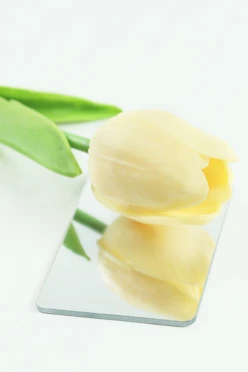 Купить акрил экструзионный зеркальный 600х1200 мм 0,8 мм, серебро