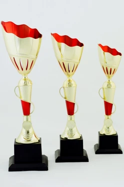 Кубок ИК0006#1 Кубок ИК0006#1