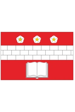 Купить флаг Красково городского поселения