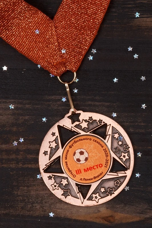 Медаль металлическая МК200 50мм с шильдом 25мм#2