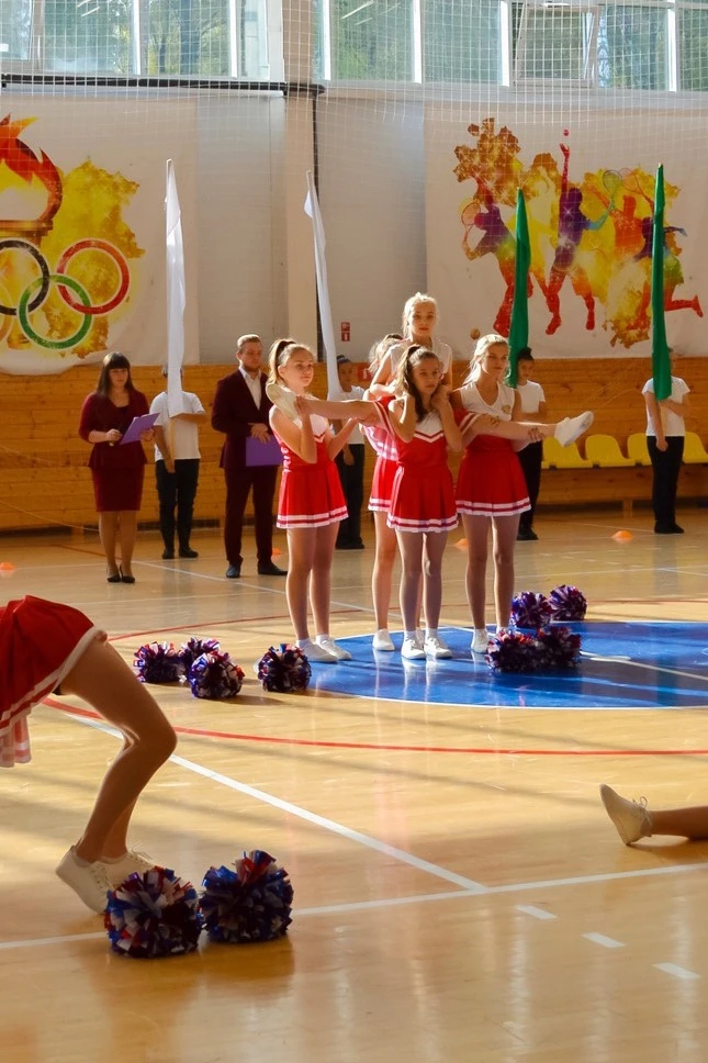 Юбка Дени женская с полной запечаткой "Milly"#2