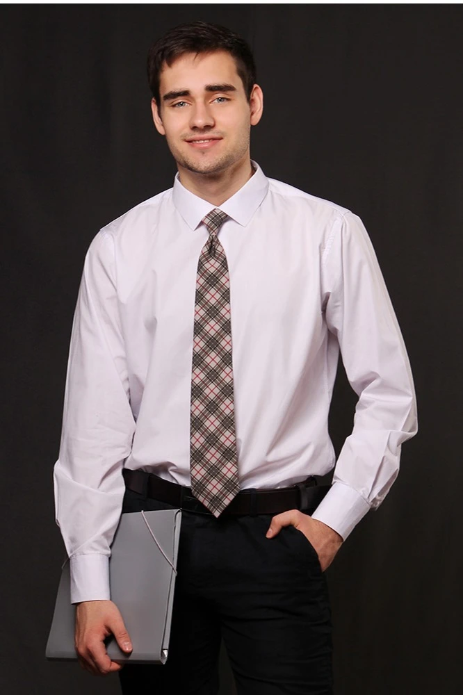 Купить Галстук Райт мужской