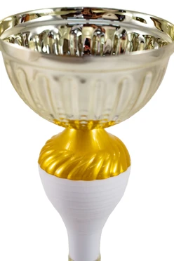 Кубок КМ5005#1