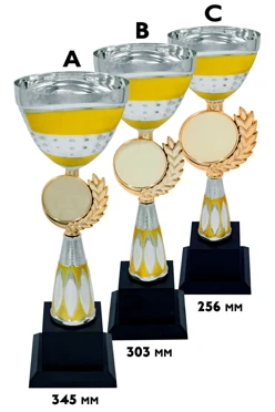 Купить кубок ИК0068 Купить кубок ИК0068