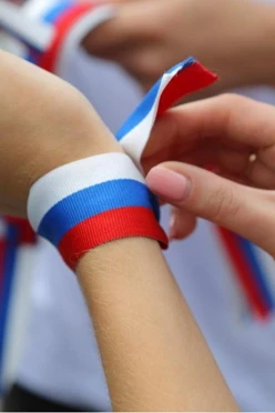 Лента триколор 25 см, с шириной 2,4 см#1