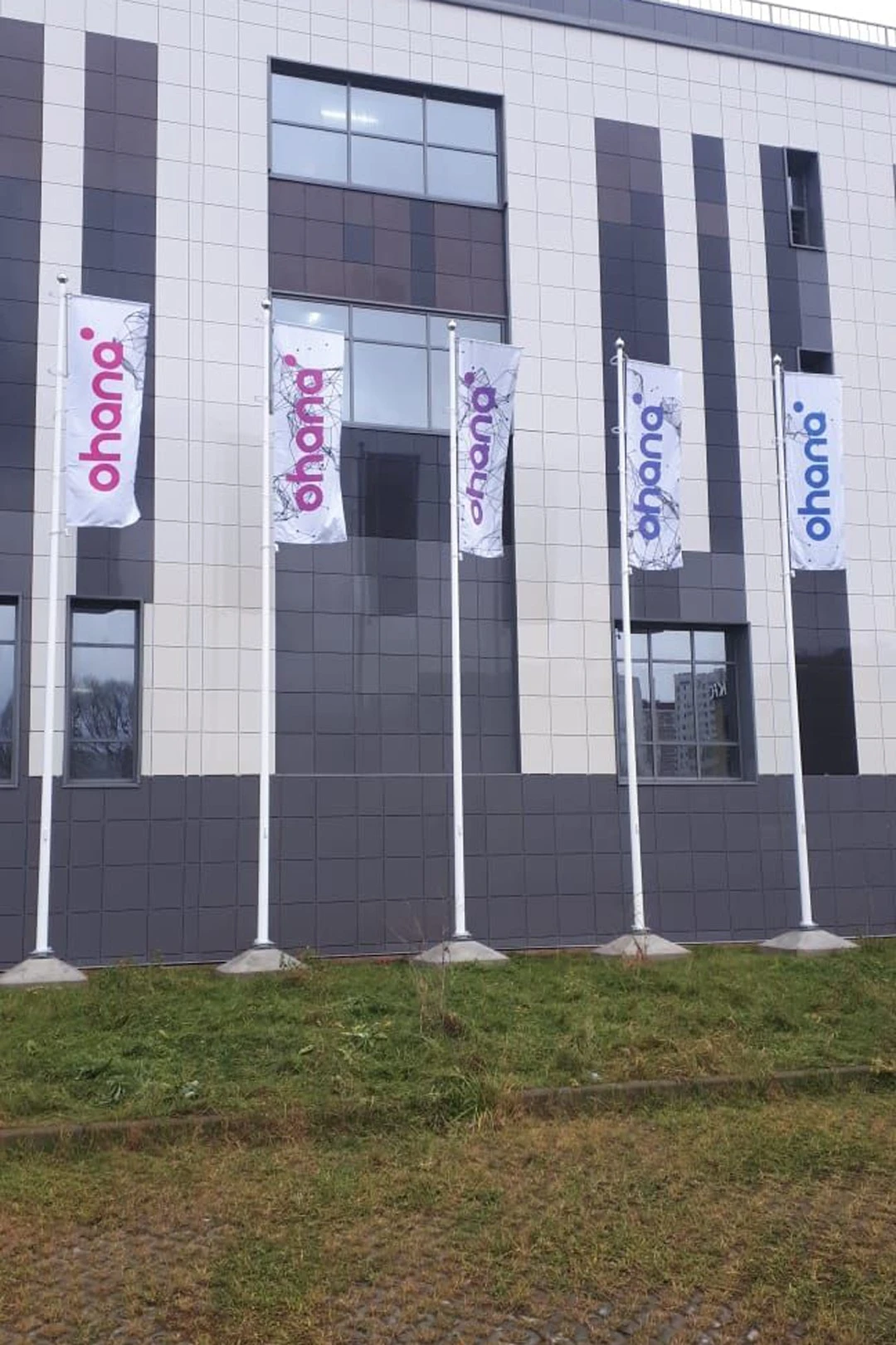 Флагшток из стекловолокна с плечом баннер-лифт с закрытым механизмом 8 м, Альфа#3