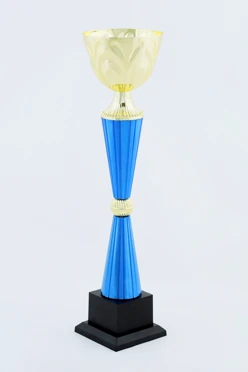 Кубок ИК0021#1 Кубок ИК0021#1