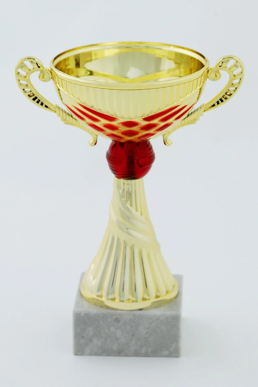 Кубок ИК0007#2