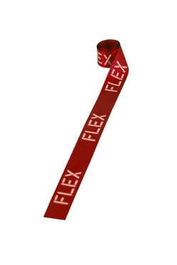 Купить ленту сатин ширина 2,5 см бордовая, печать серебром с одной стороны