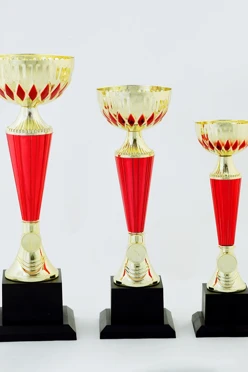 Кубок ИК0011#1 Кубок ИК0011#1