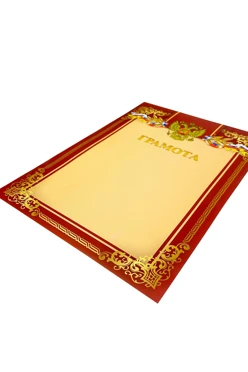 Грамота РФ с готовым дизайном А4, бордо#2