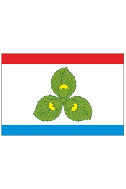 Купить флаг Краснознаменского района