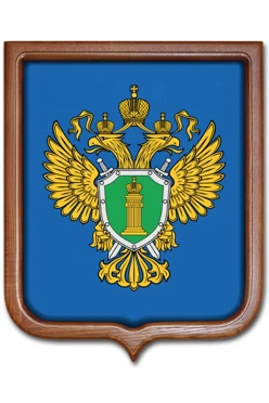 Купить Герб Генеральная прокуратура РФ размер 53х61 см печатный рамка светлое дерево