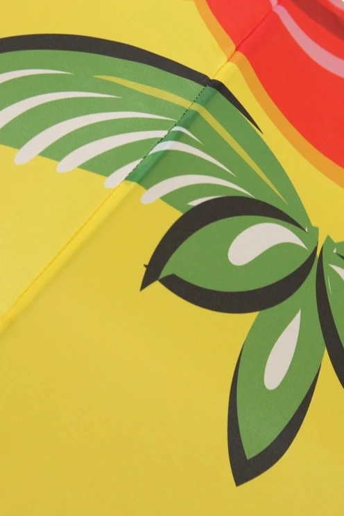 Зонт-трость Моне с пластиковой ручкой однослойный, с полной запечаткой (с совмещением) "Gorodets painting"#3