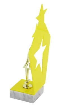 Приз Звезда GSF18036-G c акриловым фоном#2