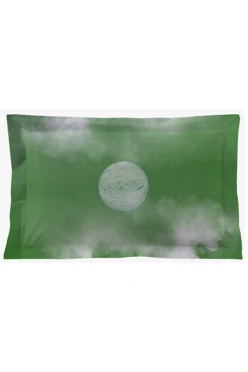 Подушка с бордюром 30х50 см, с принтом "Moonlit night"#1