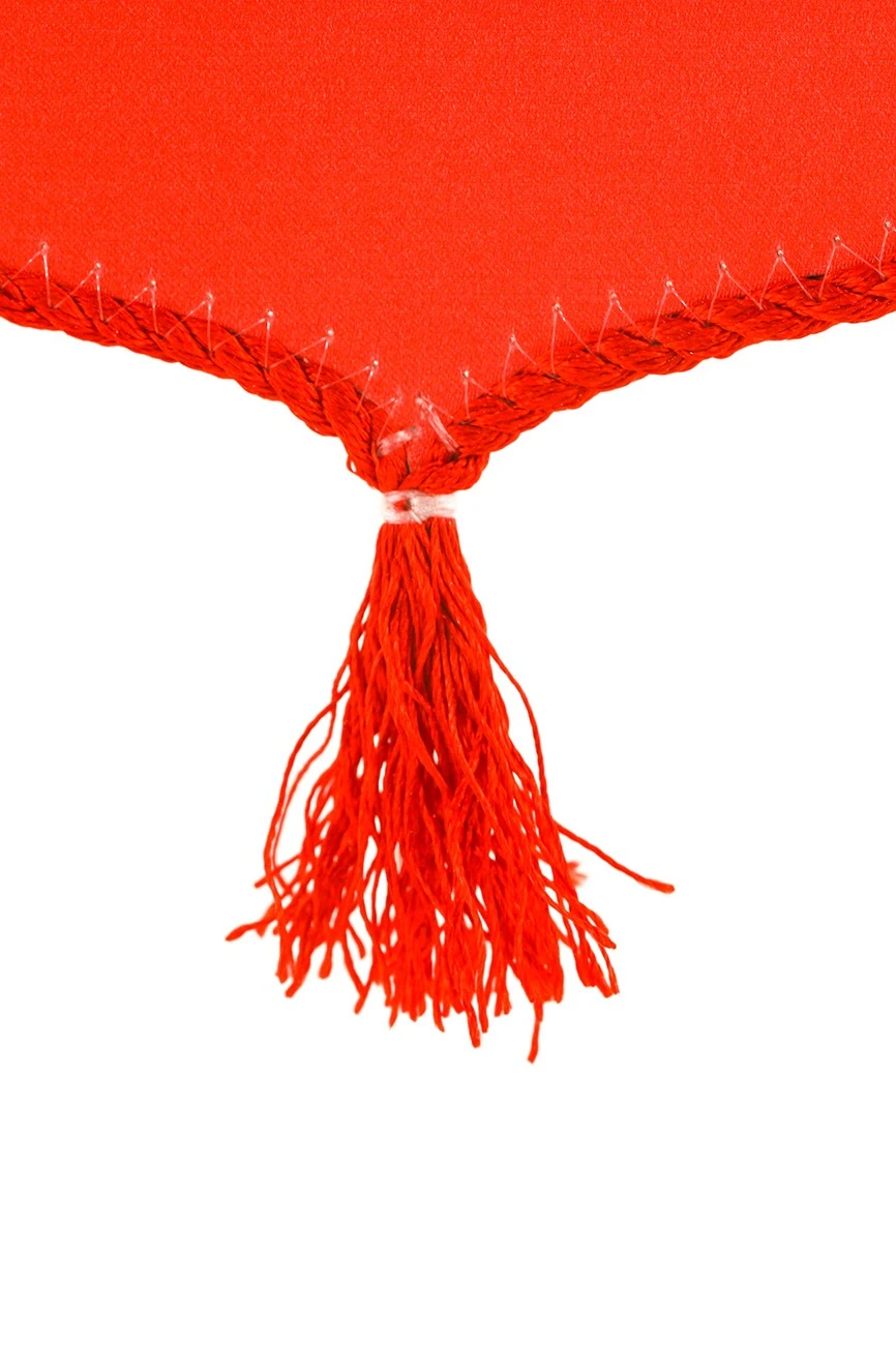 Вымпел Герб печатный со шнуром, кисть из шнура, 10х15 см#2