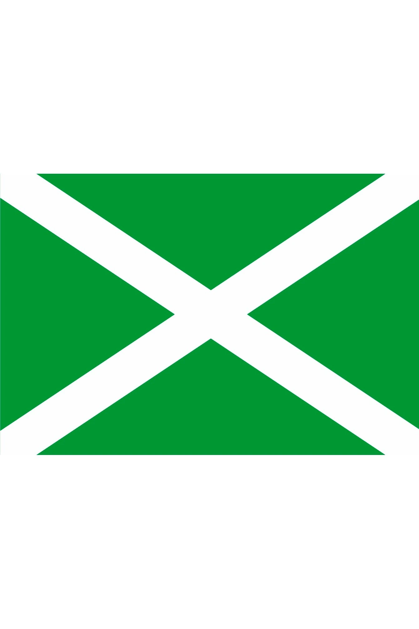 Флаг Таможни РФ#2