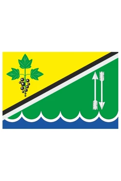 Купить флаг Каргатского района