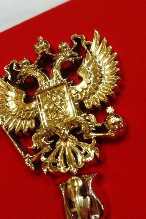 Герб Санкт-Петербурга 40х48 см, барельеф, щит МДФ, металлонапыление#2