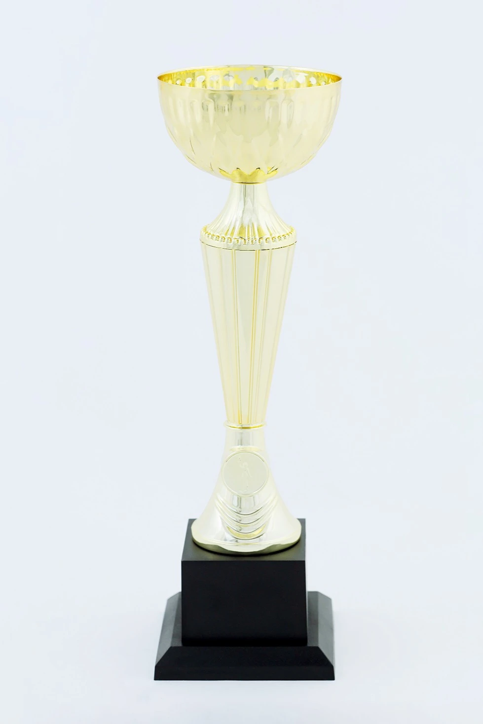 Кубок ИК0013#3