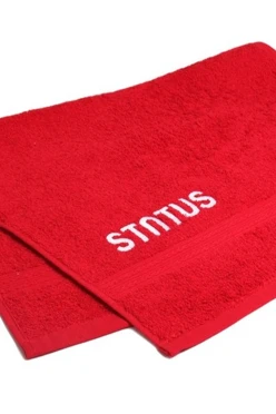 Купить полотенце махровое 40х70 см с вышивкой "Status"